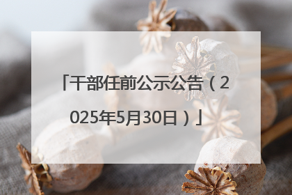 干部任前公示公告（2025年5月30日）