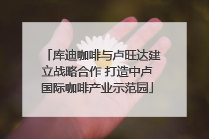 库迪咖啡与卢旺达建立战略合作 打造中卢国际咖啡产业示范园