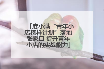 度小满“青年小店榜样计划”落地张家口 提升青年小店的实战能力