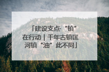 建设支点·“镇”在行动｜千年古镇匡河镇“油”此不同