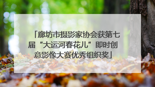 廊坊市摄影家协会获第七届“大运河春花儿”即时创意影像大赛优秀组织奖