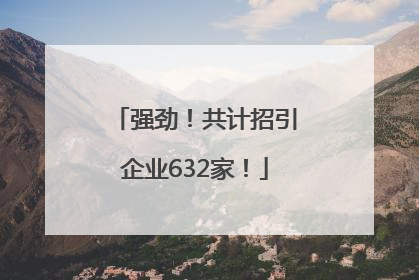 强劲！共计招引企业632家！