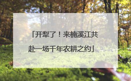 开犁了！来楠溪江共赴一场千年农耕之约