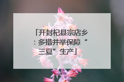 开封杞县宗店乡：多措并举保障“三夏”生产