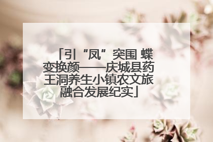 引“凤”突围 蝶变换颜——庆城县药王洞养生小镇农文旅融合发展纪实