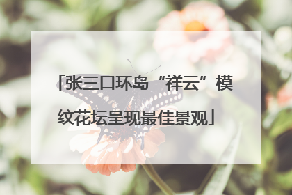 张三口环岛“祥云”模纹花坛呈现最佳景观