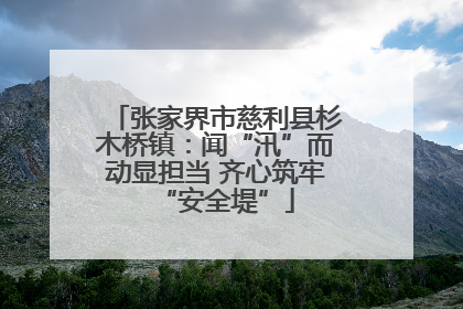 张家界市慈利县杉木桥镇：闻“汛”而动显担当 齐心筑牢“安全堤”