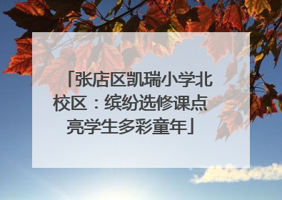 张店区凯瑞小学北校区：缤纷选修课点亮学生多彩童年