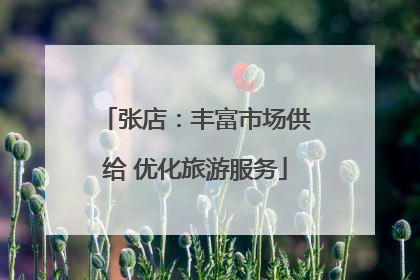 张店：丰富市场供给 优化旅游服务