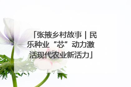 张掖乡村故事｜民乐种业“芯”动力激活现代农业新活力