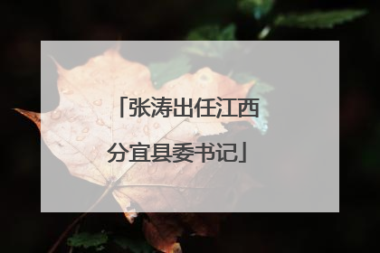 张涛出任江西分宜县委书记