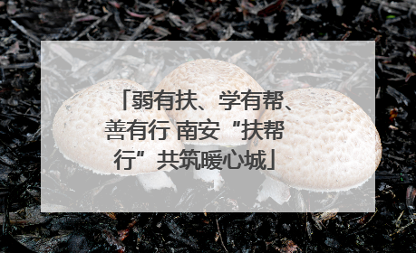 弱有扶、学有帮、善有行 南安“扶帮行”共筑暖心城