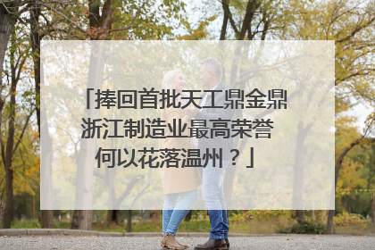 捧回首批天工鼎金鼎 浙江制造业最高荣誉何以花落温州？