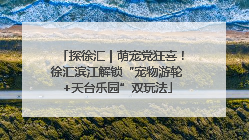探徐汇｜萌宠党狂喜！徐汇滨江解锁“宠物游轮+天台乐园”双玩法