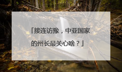 接连访豫，中亚国家的州长最关心啥？