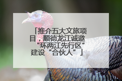 推介五大文旅项目，顺德龙江诚邀“环两江先行区”建设“合伙人”