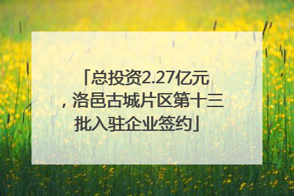 总投资2.27亿元，洛邑古城片区第十三批入驻企业签约