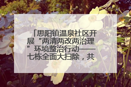思阳镇温泉社区开展“两清两改两治理”环境整治行动——七栋全面大扫除，共建洁净家园