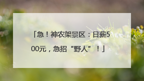 急！神农架景区：日薪500元，急招“野人”！