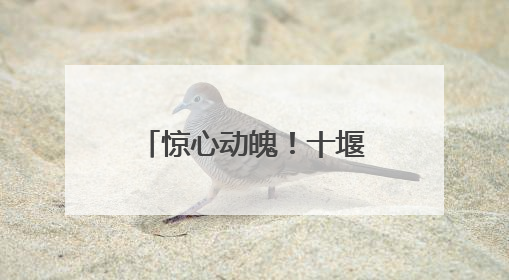 惊心动魄！十堰奥体中心球馆内，太和护士上演“生死时速”