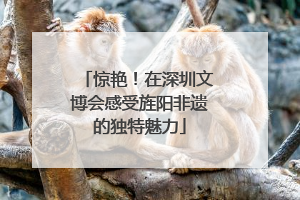 惊艳！在深圳文博会感受旌阳非遗的独特魅力