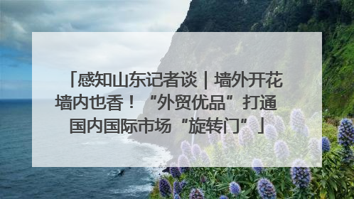 感知山东记者谈｜墙外开花墙内也香！“外贸优品”打通国内国际市场“旋转门”