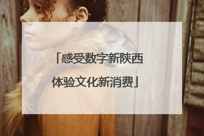 感受数字新陕西 体验文化新消费