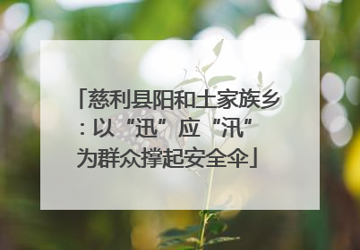 慈利县阳和土家族乡：以“迅”应“汛” 为群众撑起安全伞