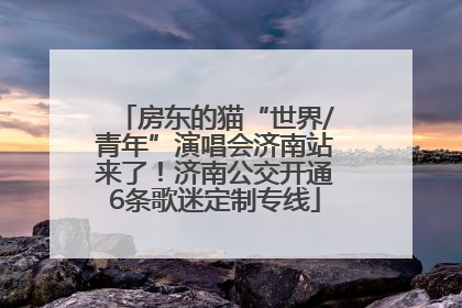房东的猫“世界/青年”演唱会济南站来了！济南公交开通6条歌迷定制专线