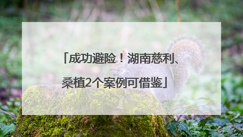 成功避险！湖南慈利、桑植2个案例可借鉴