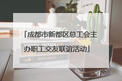 成都市新都区总工会主办职工交友联谊活动