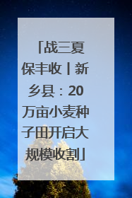 战三夏 保丰收丨新乡县：20万亩小麦种子田开启大规模收割