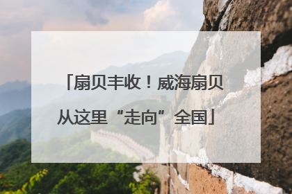扇贝丰收！威海扇贝从这里“走向”全国