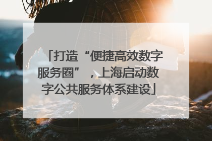 打造“便捷高效数字服务圈”，上海启动数字公共服务体系建设