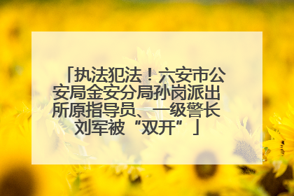执法犯法！六安市公安局金安分局孙岗派出所原指导员、一级警长刘军被“双开”