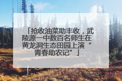 抢收油菜助丰收，武陵源一中数百名师生在黄龙洞生态田园上演“青春助农记”