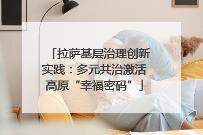拉萨基层治理创新实践：多元共治激活高原“幸福密码”