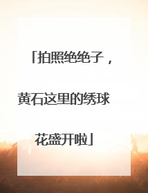 拍照绝绝子，黄石这里的绣球花盛开啦