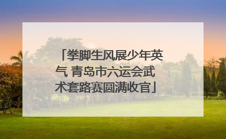 拳脚生风展少年英气 青岛市六运会武术套路赛圆满收官