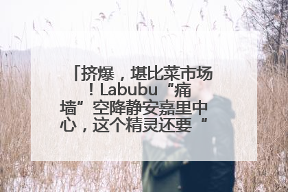 挤爆，堪比菜市场！Labubu“痛墙”空降静安嘉里中心，这个精灵还要“突袭”便利店？
