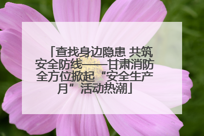 查找身边隐患 共筑安全防线——甘肃消防全方位掀起“安全生产月”活动热潮