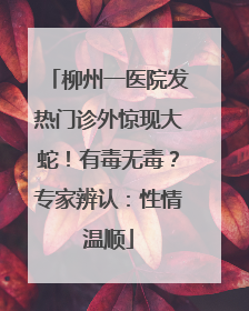 柳州一医院发热门诊外惊现大蛇！有毒无毒？专家辨认：性情温顺