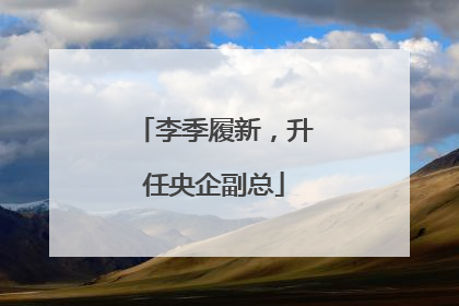 李季履新，升任央企副总
