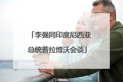 李强同印度尼西亚总统普拉博沃会谈