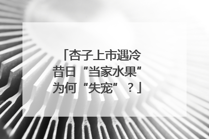 杏子上市遇冷 昔日“当家水果”为何“失宠”？