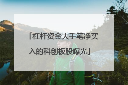 杠杆资金大手笔净买入的科创板股曝光