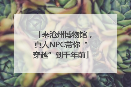 来沧州博物馆，真人NPC带你“穿越”到千年前