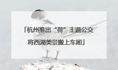 杭州推出“荷”主题公交 将西湖美景搬上车厢