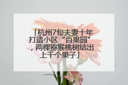 杭州7旬夫妻十年打造小区“百果园”，两棵猕猴桃树结出上千个果子