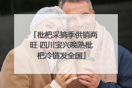 枇杷采摘季供销两旺 四川宝兴晚熟枇杷冷链发全国